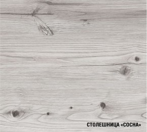 АСАЯ Кухонный гарнитур Экстра 2 (3000 мм) ПМ в Нижнекамске - nizhnekamsk.ok-mebel.com | фото 8