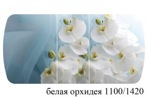 БОСТОН - 3 Стол раздвижной 1100/1420 опоры Триумф в Нижнекамске - nizhnekamsk.ok-mebel.com | фото 9