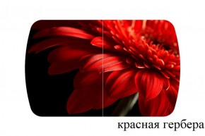 БОСТОН - 3 Стол раздвижной 1100/1420 опоры Триумф в Нижнекамске - nizhnekamsk.ok-mebel.com | фото 18