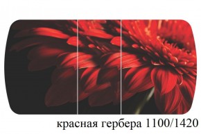 БОСТОН - 3 Стол раздвижной 1100/1420 опоры Триумф в Нижнекамске - nizhnekamsk.ok-mebel.com | фото 19