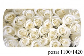 БОСТОН - 3 Стол раздвижной 1100/1420 опоры Триумф в Нижнекамске - nizhnekamsk.ok-mebel.com | фото 37
