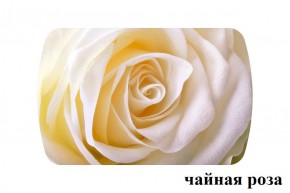 БОСТОН - 3 Стол раздвижной 1100/1420 опоры Триумф в Нижнекамске - nizhnekamsk.ok-mebel.com | фото 47