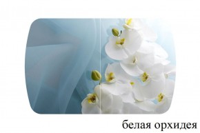 БОСТОН - 3 Стол раздвижной 1100/1420 опоры Триумф в Нижнекамске - nizhnekamsk.ok-mebel.com | фото 8