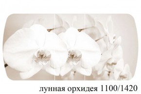 БОСТОН - 3 Стол раздвижной Лунная орхидея 1100/1420 опоры Триумф в Нижнекамске - nizhnekamsk.ok-mebel.com | фото 3