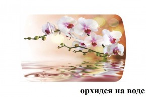 БОСТОН - 3 Стол раздвижной Орхидея на воде 1100/1420 опоры Триумф в Нижнекамске - nizhnekamsk.ok-mebel.com | фото 2