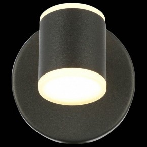 Бра ST-Luce Formolla SL1597.401.01 в Нижнекамске - nizhnekamsk.ok-mebel.com | фото 5