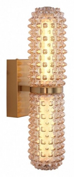 Бра ST-Luce SAGUARO SL6144.301.01 в Нижнекамске - nizhnekamsk.ok-mebel.com | фото 2