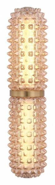 Бра ST-Luce SAGUARO SL6144.301.01 в Нижнекамске - nizhnekamsk.ok-mebel.com | фото 3