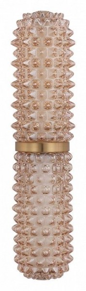 Бра ST-Luce SAGUARO SL6144.301.01 в Нижнекамске - nizhnekamsk.ok-mebel.com | фото 4