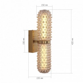 Бра ST-Luce SAGUARO SL6144.301.01 в Нижнекамске - nizhnekamsk.ok-mebel.com | фото 5