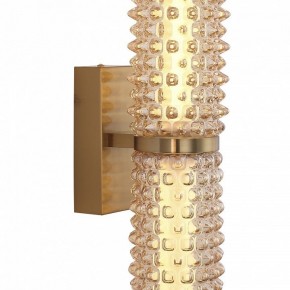 Бра ST-Luce SAGUARO SL6144.301.01 в Нижнекамске - nizhnekamsk.ok-mebel.com | фото 6