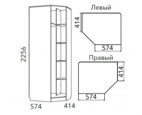 Детская Фанк Шкаф угловой Левый/Правый НМ 013.04-02 М в Нижнекамске - nizhnekamsk.ok-mebel.com | фото 3