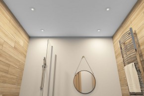 DK2036-WH Встраиваемый светильник влагозащ., IP 44, до 15 Вт, GU10, LED, белый, алюминий в Нижнекамске - nizhnekamsk.ok-mebel.com | фото 5