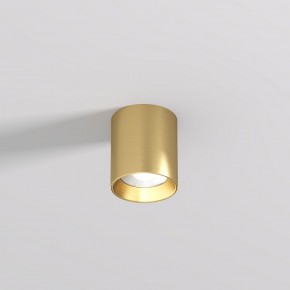 DK2610-SB Накладной светильник SHINE TUBE со светодиодом, D70*H80, IP20, 3000К, 10W, RA?90, сатинированная латунь, алюминий в Нижнекамске - nizhnekamsk.ok-mebel.com | фото