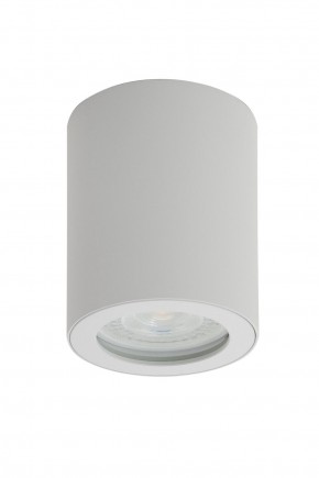 DK3007-WH Накладной светильник влагозащ., IP 44, 15 Вт, GU10, белый, алюминий в Нижнекамске - nizhnekamsk.ok-mebel.com | фото