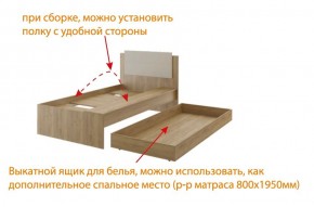 Дуглас (подростковая) М14 Кровать в Нижнекамске - nizhnekamsk.ok-mebel.com | фото 5