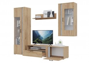 Гостиная Омега (Крафт золотой-Бетон) в Нижнекамске - nizhnekamsk.ok-mebel.com | фото 4