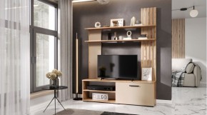КАРОЛИНА Гостиная в Нижнекамске - nizhnekamsk.ok-mebel.com | фото 2