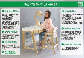 Комплект растущий стол и стул с чехлом 38 попугаев «Вуди» (Серый, Береза, Салют) в Нижнекамске - nizhnekamsk.ok-mebel.com | фото