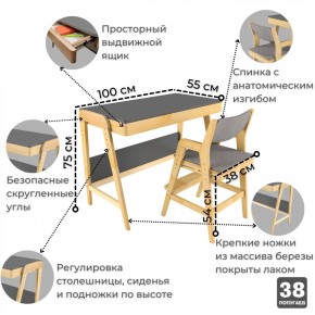 Комплект растущий стол и стул с чехлом 38 попугаев «Вуди» (Серый, Береза, Серый) в Нижнекамске - nizhnekamsk.ok-mebel.com | фото