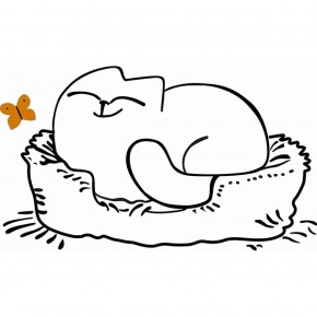 Кровать двухуровневая Кот № 900.1 ЛЕВАЯ (туя светлая/белый) в Нижнекамске - nizhnekamsk.ok-mebel.com | фото 2