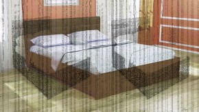 Кровать интерьерная Лита с латами 1600*2000 в Нижнекамске - nizhnekamsk.ok-mebel.com | фото 4