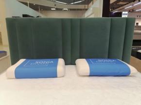 Кровать Верона с ортопедической решеткой (1600) в Нижнекамске - nizhnekamsk.ok-mebel.com | фото 4