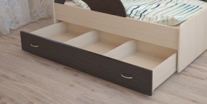 Кровать выкатная Радуга (Матрешка) 800*1600/1650 в Нижнекамске - nizhnekamsk.ok-mebel.com | фото 9