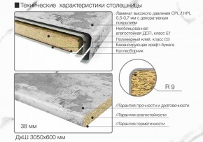 Кухонный фартук со столешницей (А-02) в едином стиле (3050 мм) в Нижнекамске - nizhnekamsk.ok-mebel.com | фото 6