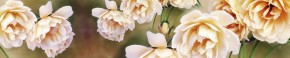 Кухонный фартук Цветы 066 МДФ матовый (3000) Flowers в Нижнекамске - nizhnekamsk.ok-mebel.com | фото
