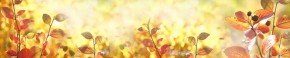 Кухонный фартук Цветы 318 МДФ матовый (3000) Flowers в Нижнекамске - nizhnekamsk.ok-mebel.com | фото
