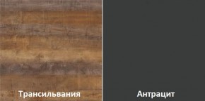 Кухонный гарнитур угловой Трансильвания 2600х1600 мм (Стол. 26 мм) в Нижнекамске - nizhnekamsk.ok-mebel.com | фото 3
