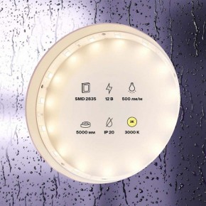 Лента светодиодная Maytoni Led strip 10102 в Нижнекамске - nizhnekamsk.ok-mebel.com | фото 2