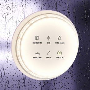 Лента светодиодная Maytoni Led strip 10118 в Нижнекамске - nizhnekamsk.ok-mebel.com | фото 2
