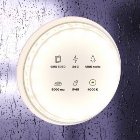 Лента светодиодная Maytoni Led strip 10172 в Нижнекамске - nizhnekamsk.ok-mebel.com | фото 2