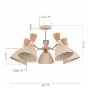 Люстра на штанге EVOLUCE VISTA SLE1256-502-05 в Нижнекамске - nizhnekamsk.ok-mebel.com | фото 8