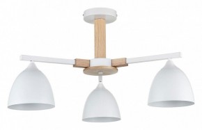 Люстра на штанге Lumion Colange 8095/3C в Нижнекамске - nizhnekamsk.ok-mebel.com | фото