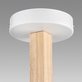 Люстра на штанге Lumion Colange 8095/3C в Нижнекамске - nizhnekamsk.ok-mebel.com | фото 9