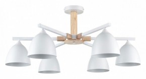 Люстра на штанге Lumion Colange 8095/6C в Нижнекамске - nizhnekamsk.ok-mebel.com | фото