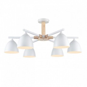 Люстра на штанге Lumion Colange 8095/6C в Нижнекамске - nizhnekamsk.ok-mebel.com | фото 2