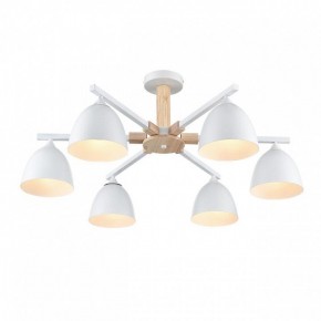 Люстра на штанге Lumion Colange 8095/6C в Нижнекамске - nizhnekamsk.ok-mebel.com | фото 3