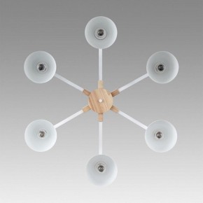 Люстра на штанге Lumion Colange 8095/6C в Нижнекамске - nizhnekamsk.ok-mebel.com | фото 4