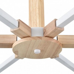 Люстра на штанге Lumion Colange 8095/6C в Нижнекамске - nizhnekamsk.ok-mebel.com | фото 7