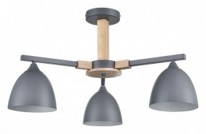 Люстра на штанге Lumion Colange 8096/3C в Нижнекамске - nizhnekamsk.ok-mebel.com | фото