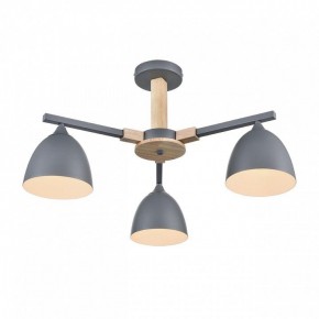 Люстра на штанге Lumion Colange 8096/3C в Нижнекамске - nizhnekamsk.ok-mebel.com | фото 3