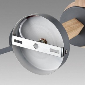 Люстра на штанге Lumion Colange 8096/3C в Нижнекамске - nizhnekamsk.ok-mebel.com | фото 6