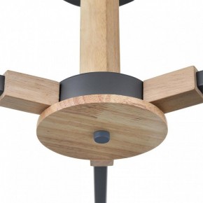 Люстра на штанге Lumion Colange 8096/3C в Нижнекамске - nizhnekamsk.ok-mebel.com | фото 7