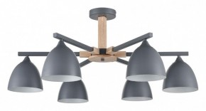 Люстра на штанге Lumion Colange 8096/6C в Нижнекамске - nizhnekamsk.ok-mebel.com | фото