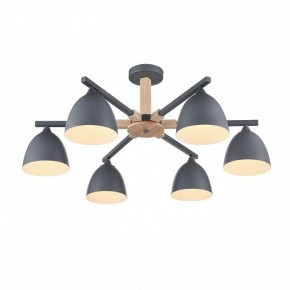 Люстра на штанге Lumion Colange 8096/6C в Нижнекамске - nizhnekamsk.ok-mebel.com | фото 3