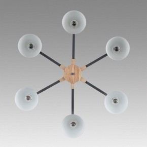 Люстра на штанге Lumion Colange 8096/6C в Нижнекамске - nizhnekamsk.ok-mebel.com | фото 4